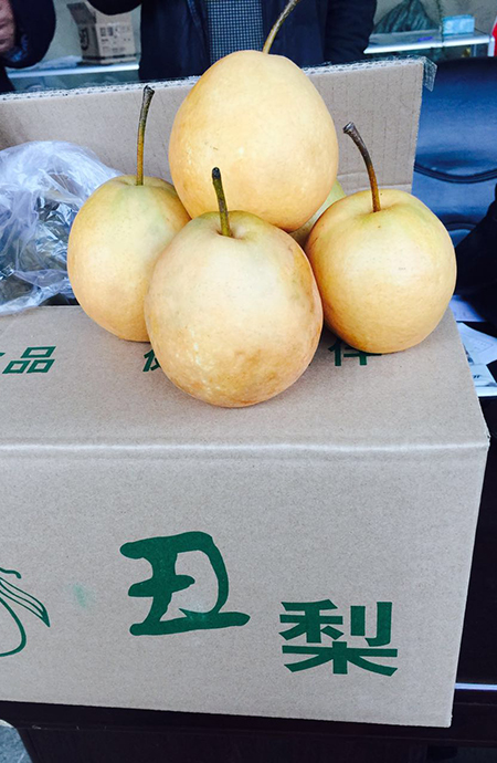 丑梨